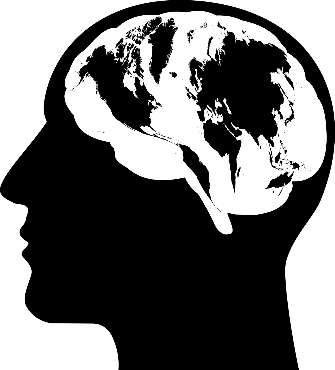 How our brain predicts the world